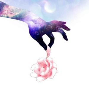 Meet your Posher, Aiko